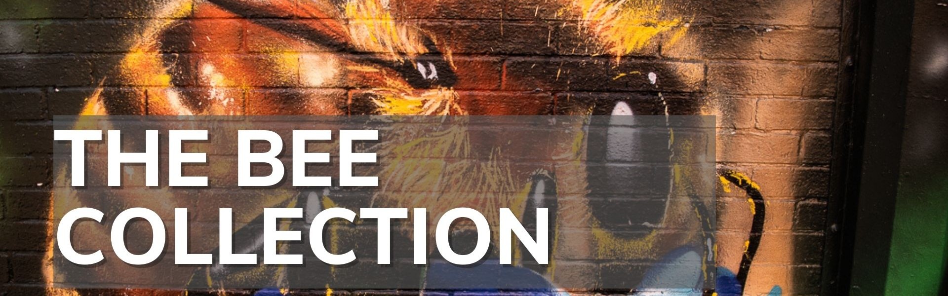 The Bee Collection from Mark Kelly Photography