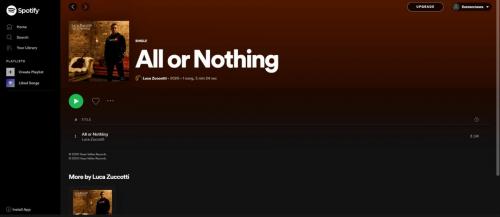 Luca Zuccotti single artwork on Spotify